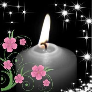 Meet your Posher, Lerma